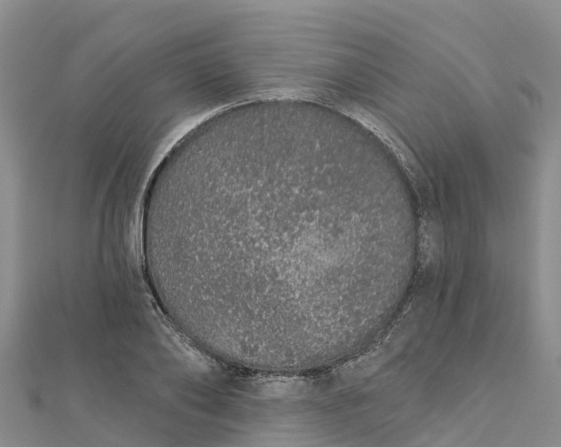 X0000112720886200909031415