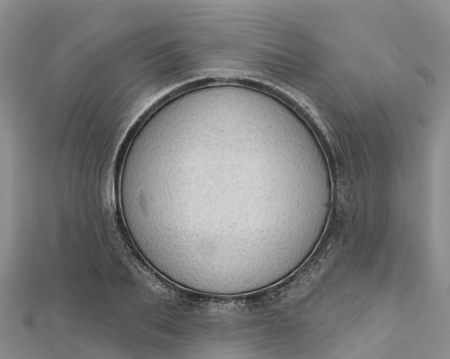 X0000112720887200909031415