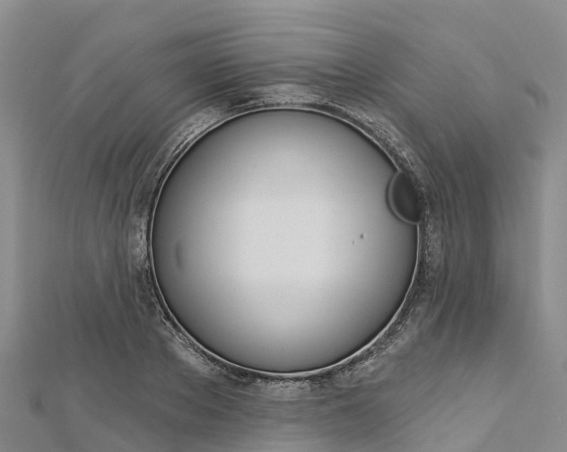 X0000112720889200909031415