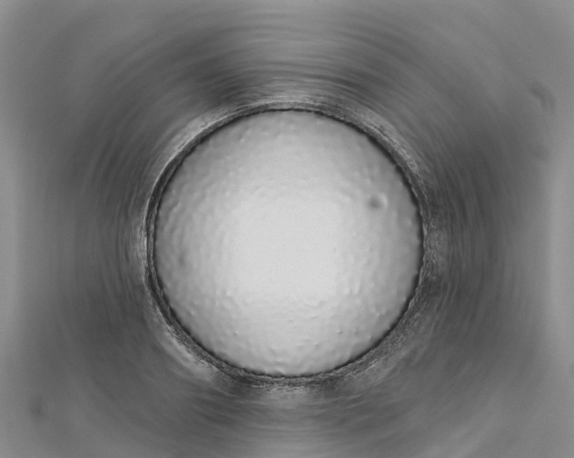 X0000112720890200909031415