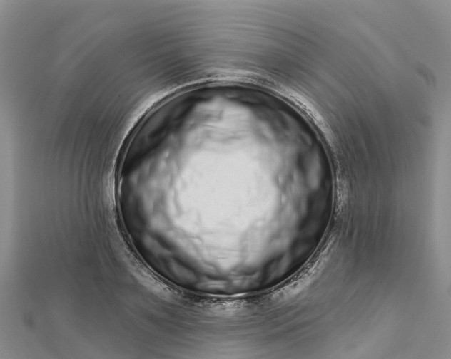 X0000112720891200909031415