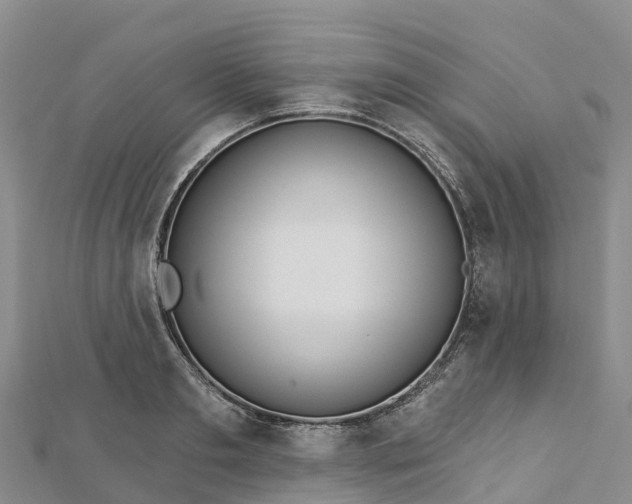 X0000112720893200909031415