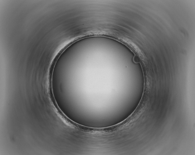 X0000112720894200909031415