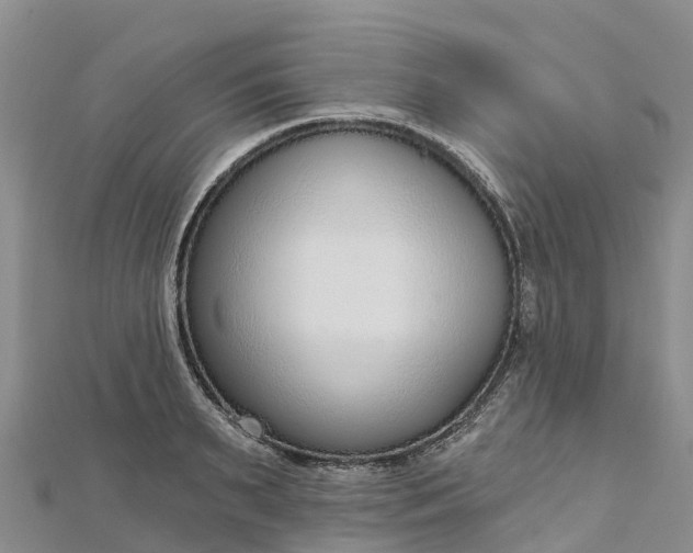 X0000112720895200909031414