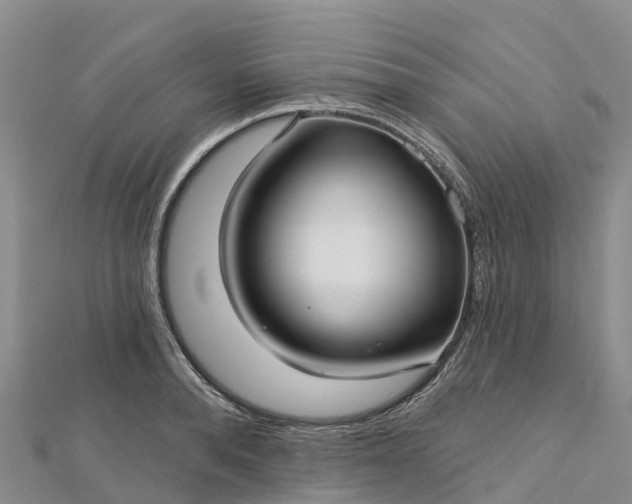 X0000112720896200909031414