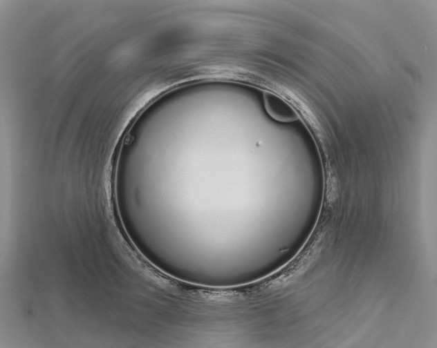 X0000112720899200909031414