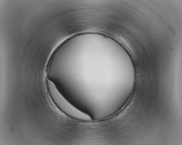 X0000112720900200909031414