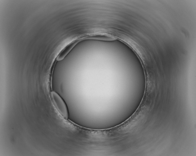 X0000112720901200909031414