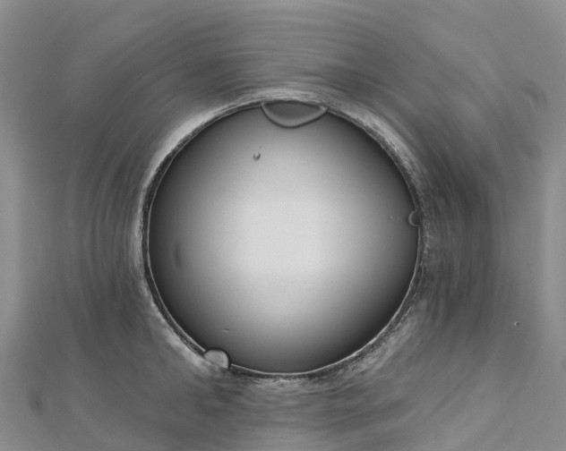 X0000112720902200909031414