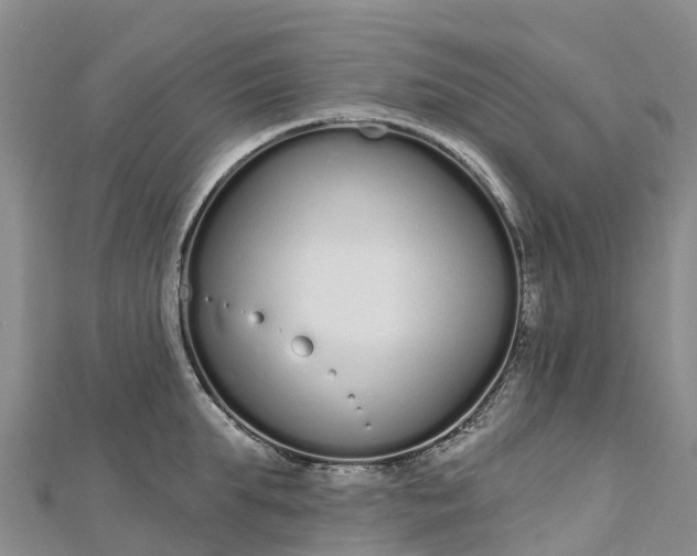 X0000112720903200909031414