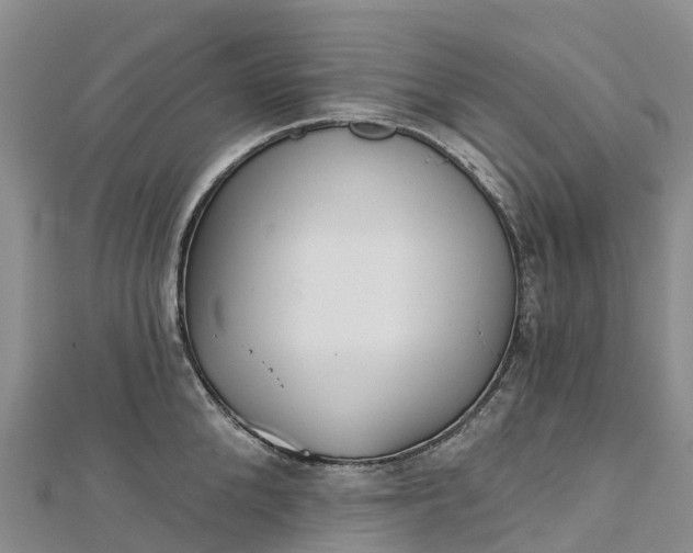 X0000112720904200909031414