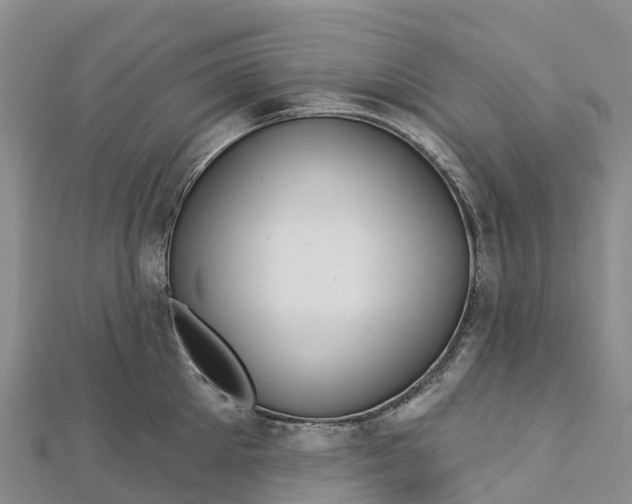 X0000112720905200909031414