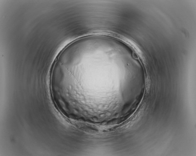 X0000112720907200909031414