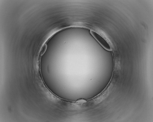 X0000112720908200909031414