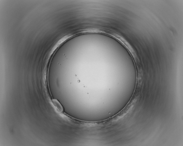 X0000112720909200909031414