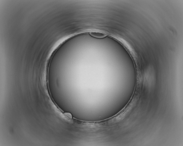 X0000112720910200909031414