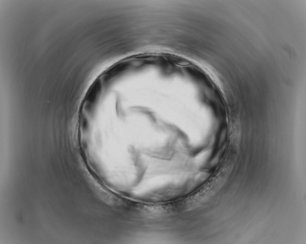 X0000112720911200909031414