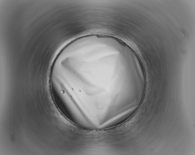 X0000112720912200909031414