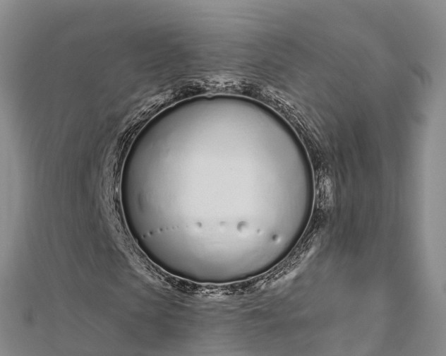 X0000112720913200909031413