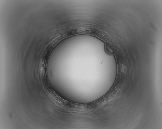 X0000112720914200909031413