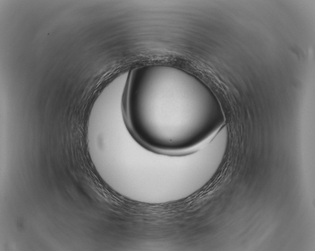 X0000112720916200909031414