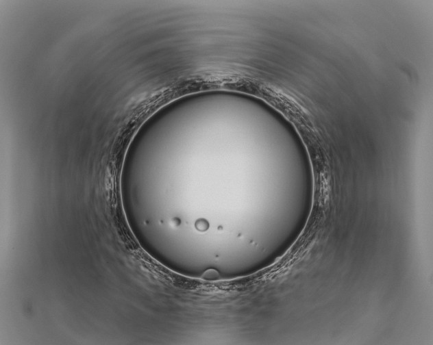 X0000112720917200909031414