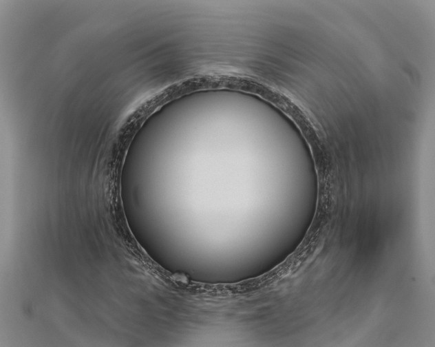 X0000112720919200909031414