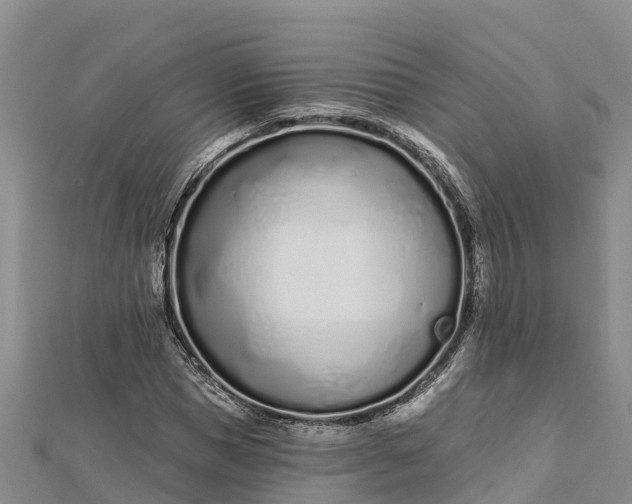 X0000112720921200909031414