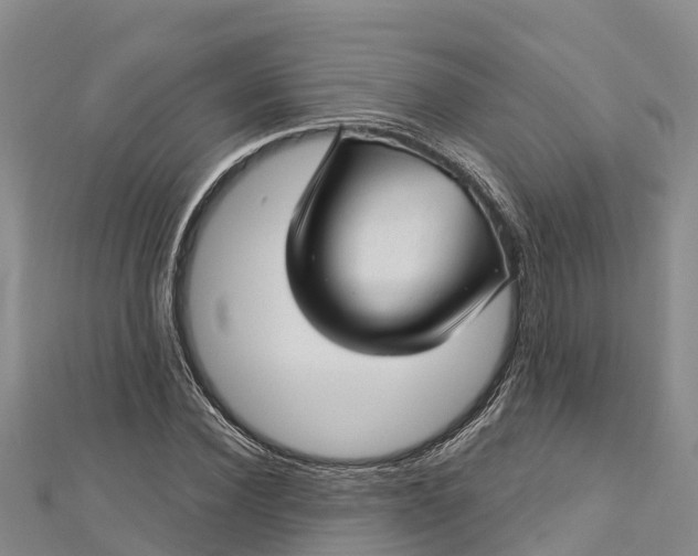 X0000112720924200909031414