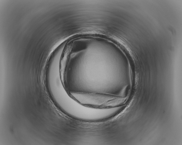 X0000112720925200909031414