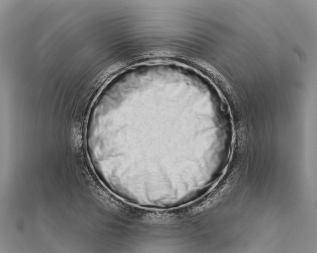 X0000112720929200909031414