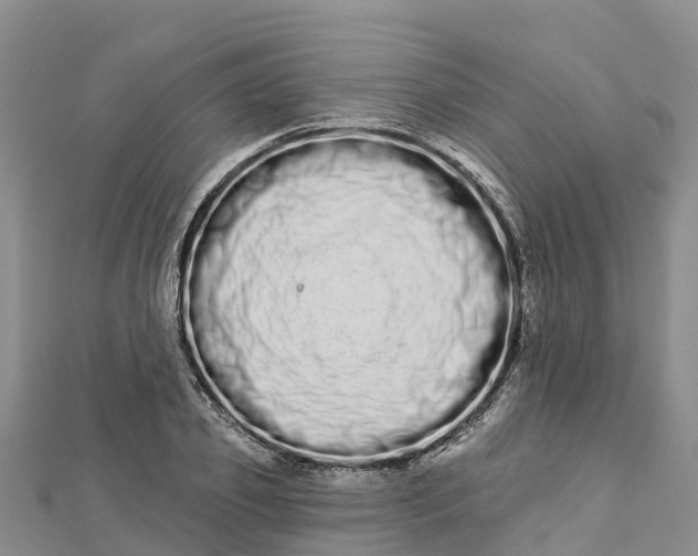 X0000112720933200909031414