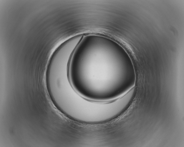 X0000112720936200909031414