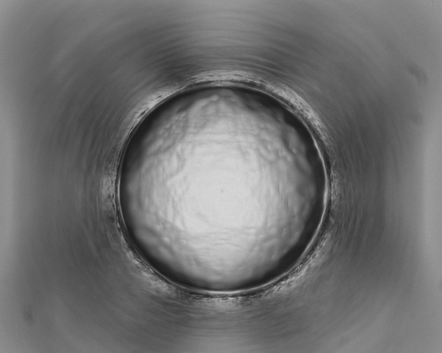 X0000112720937200909031414