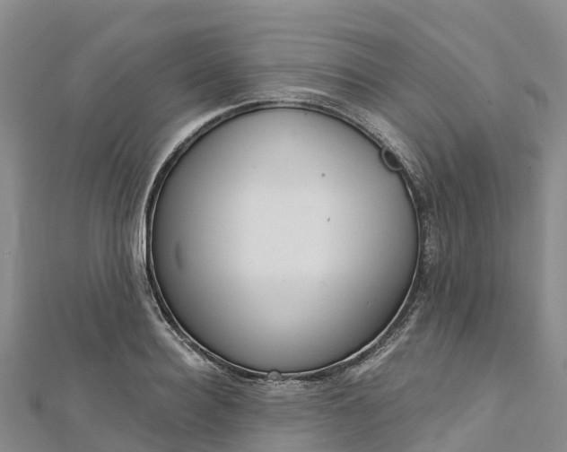 X0000112720940200909031414