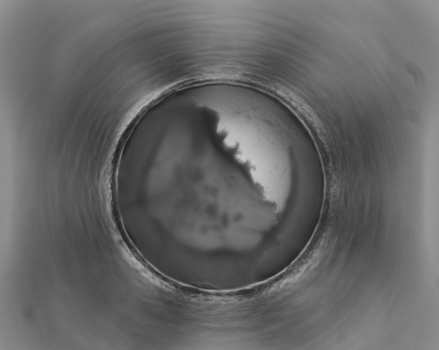 X0000112720941200909031414