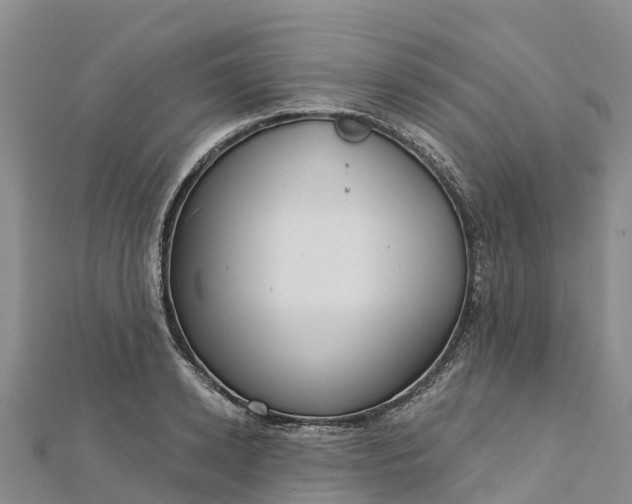 X0000112720942200909031414