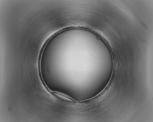 X0000112720943200909031414