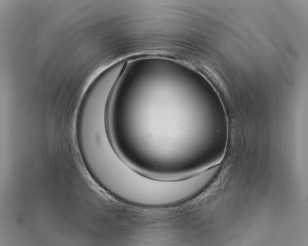 X0000112720944200909031414