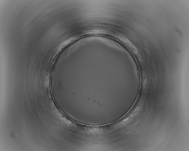 X0000112720945200909031414