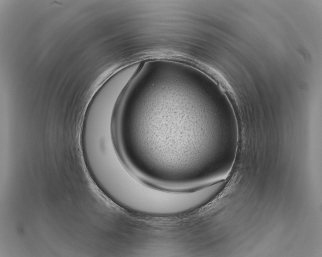 X0000112720946200909031414