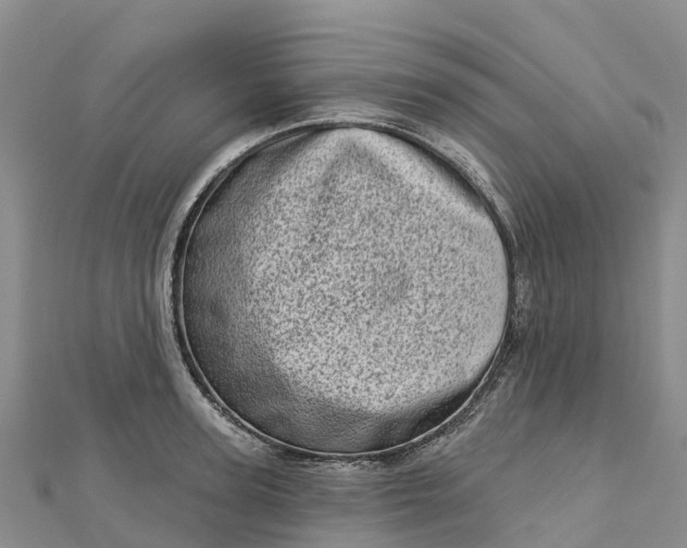 X0000112720947200909031414