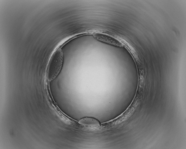 X0000112720948200909031414