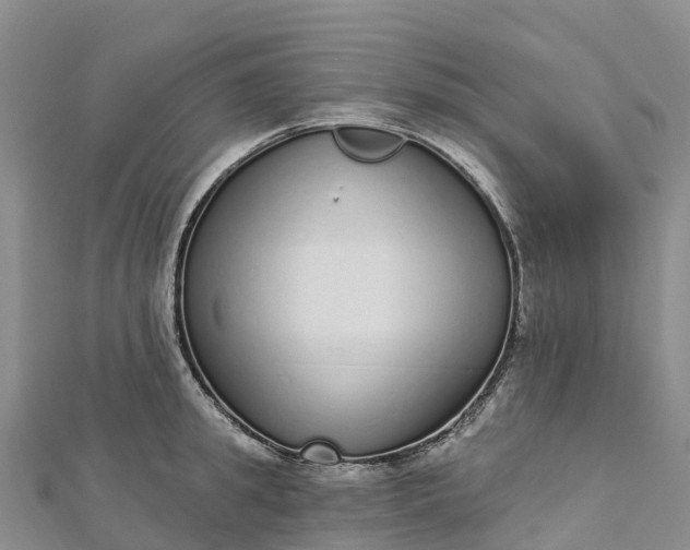 X0000112720949200909031414