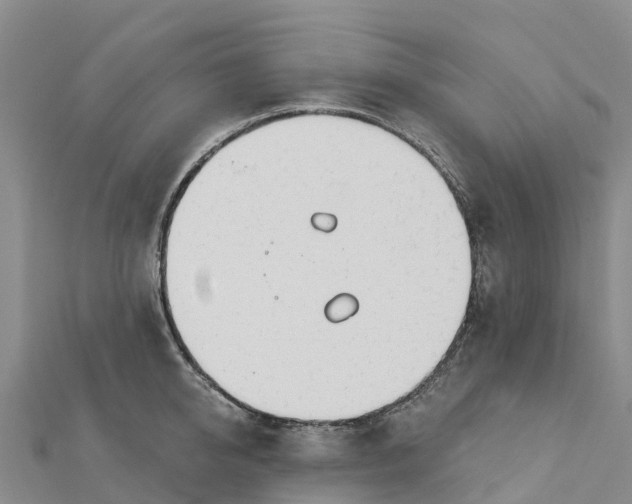 X0000112720950200909031414