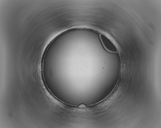 X0000112720951200909031414