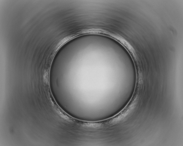 X0000112720953200909031414