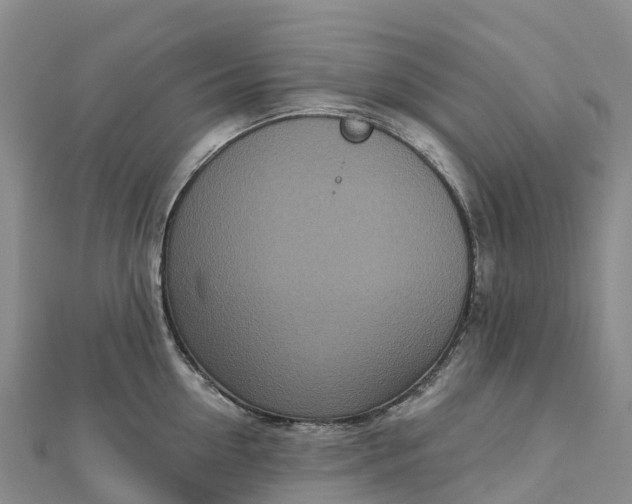 X0000112720954200909031414