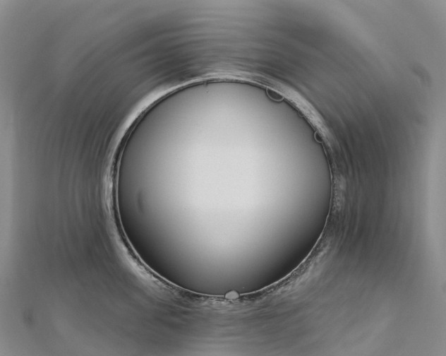 X0000112720955200909031414