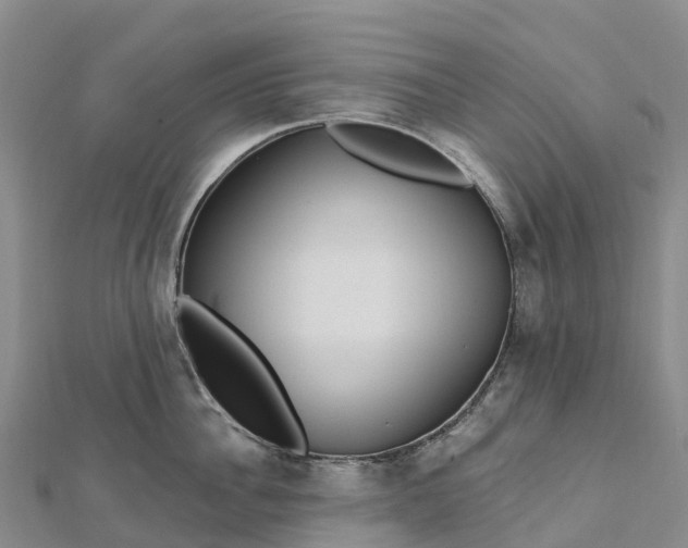 X0000112720956200909031414